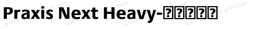 Praxis Next Heavy字体转换